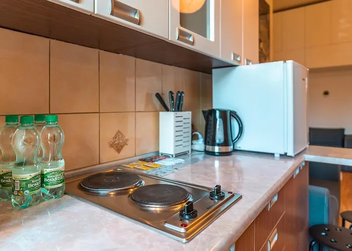 Jozefitow Standard Apartment